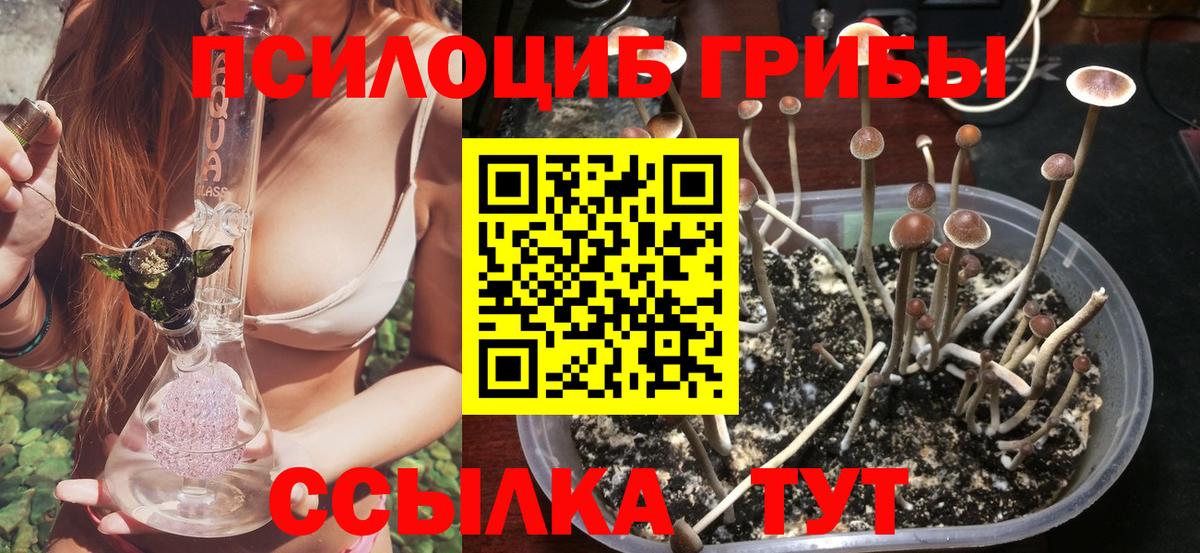 Галлюциногенные грибы Psilocybe  закладка  Калуга  Вход с VPN 